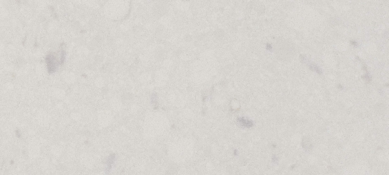 Caesarstone Misty Carrera